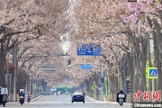 大师解梦共建“花园城市” 北京这场议政会“百花齐放”
