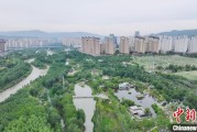 大师解梦西宁市举办六五环境日主题宣传活动